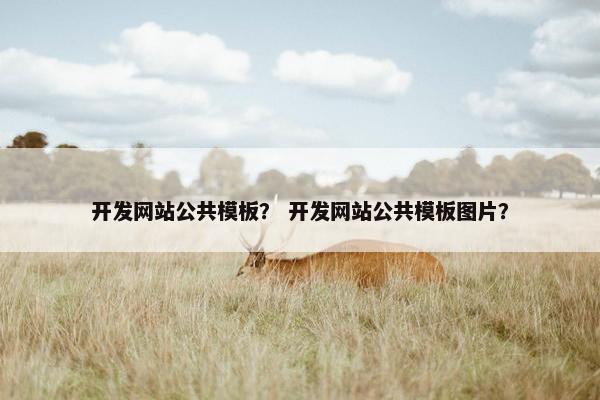 开发网站公共模板？ 开发网站公共模板图片？