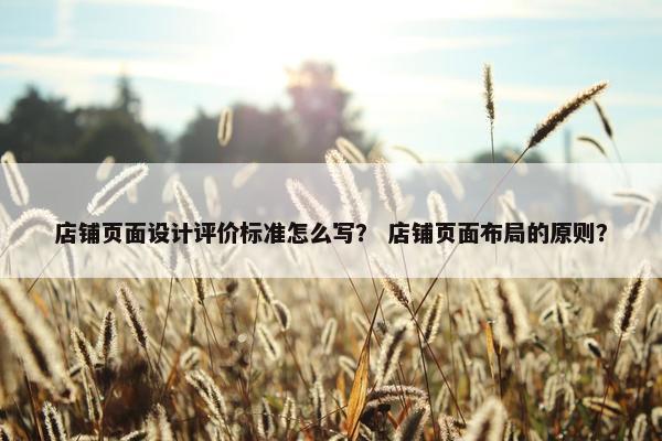 店铺页面设计评价标准怎么写？ 店铺页面布局的原则？