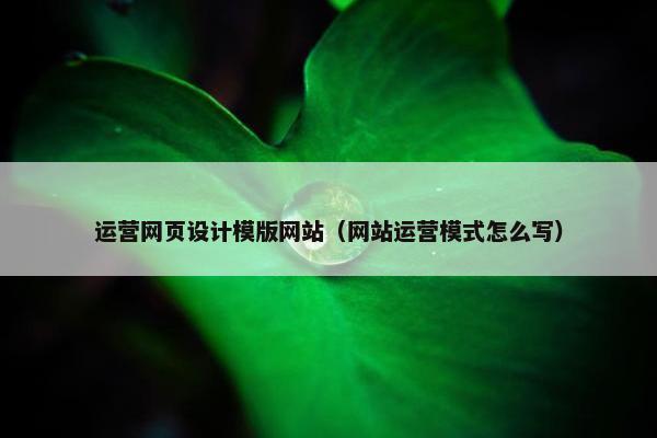 运营网页设计模版网站（网站运营模式怎么写）