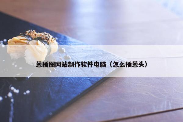 葱插图网站制作软件电脑（怎么插葱头）