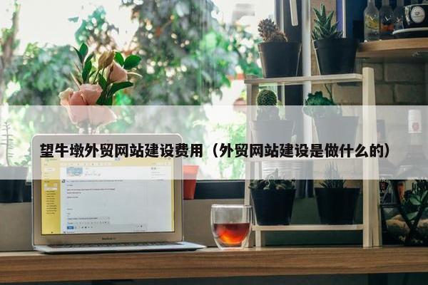 望牛墩外贸网站建设费用（外贸网站建设是做什么的）