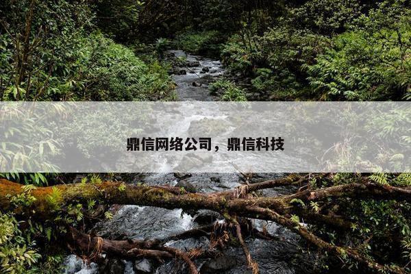 鼎信网络公司，鼎信科技