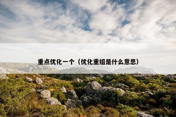 重点优化一个（优化重组是什么意思）