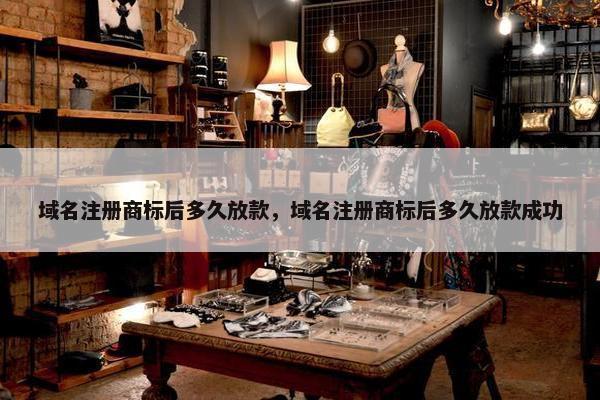 域名注册商标后多久放款，域名注册商标后多久放款成功