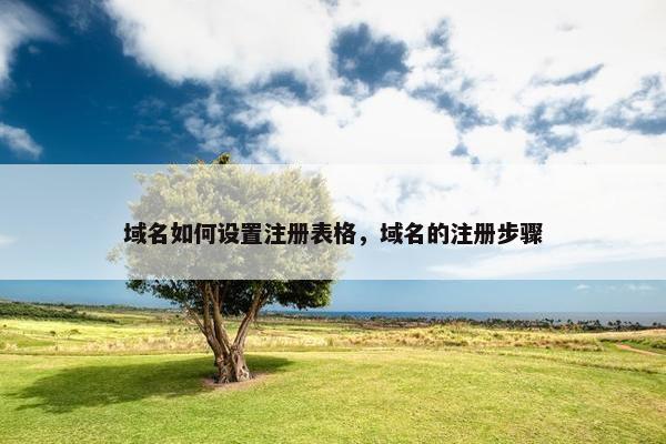 域名如何设置注册表格，域名的注册步骤