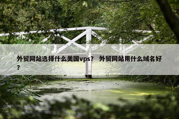 外贸网站选择什么美国vps？ 外贸网站用什么域名好？