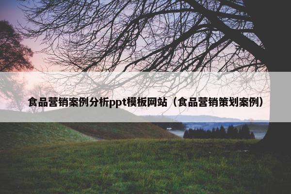 食品营销案例分析ppt模板网站（食品营销策划案例）