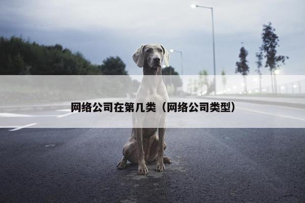 网络公司在第几类（网络公司类型）