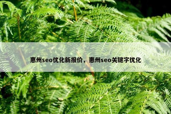 惠州seo优化新报价，惠州seo关键字优化
