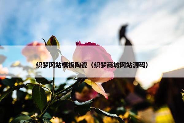 织梦网站模板陶瓷（织梦商城网站源码）
