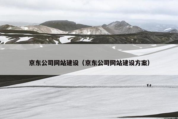 京东公司网站建设（京东公司网站建设方案）