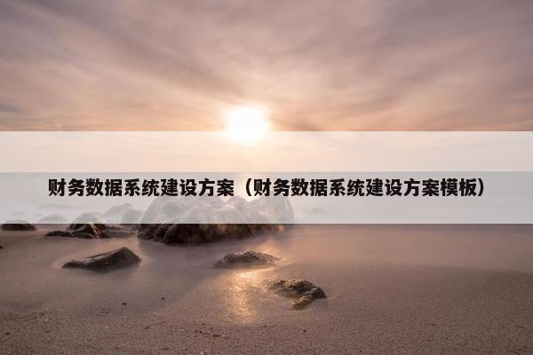 财务数据系统建设方案（财务数据系统建设方案模板）