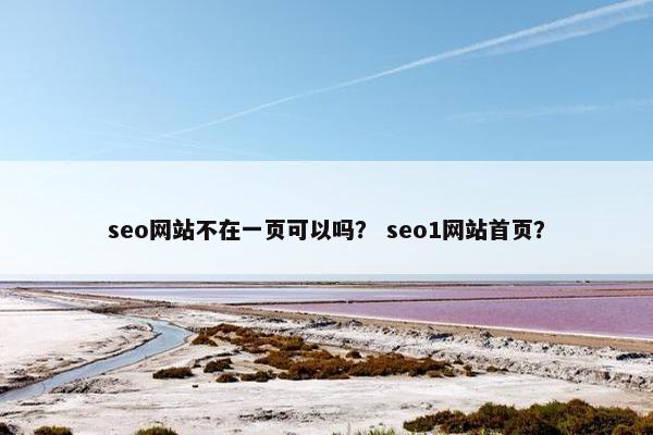 seo网站不在一页可以吗？ seo1网站首页？