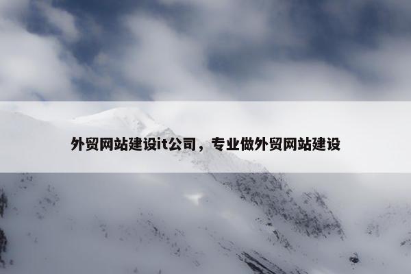 外贸网站建设it公司，专业做外贸网站建设