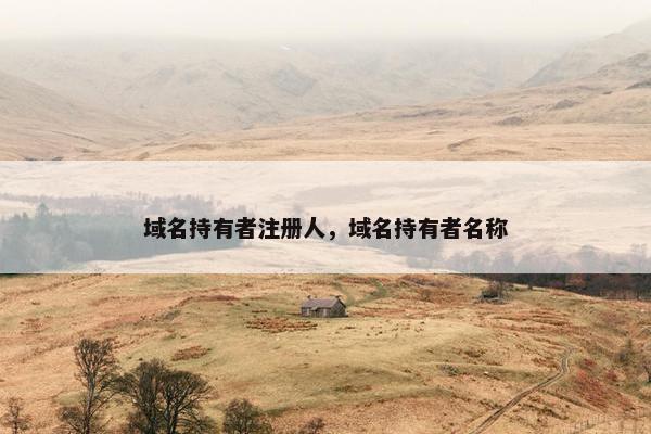域名持有者注册人，域名持有者名称