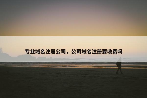 专业域名注册公司，公司域名注册要收费吗