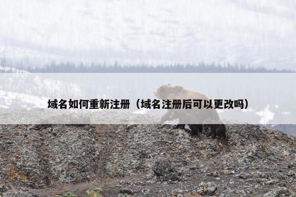 域名如何重新注册（域名注册后可以更改吗）