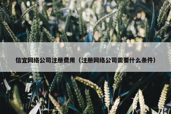 信宜网络公司注册费用（注册网络公司需要什么条件）