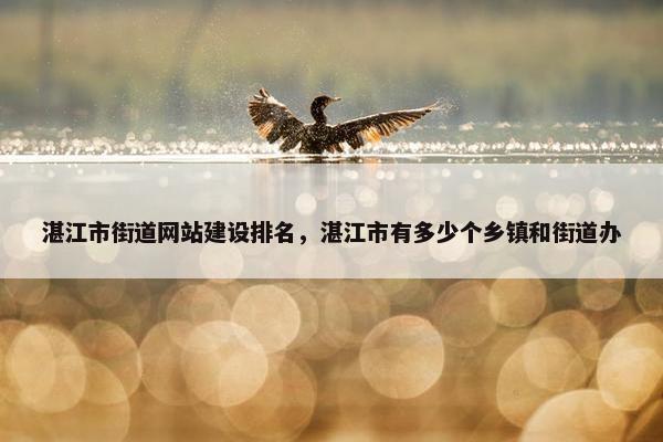 湛江市街道网站建设排名，湛江市有多少个乡镇和街道办