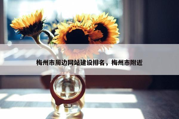 梅州市周边网站建设排名，梅州市附近