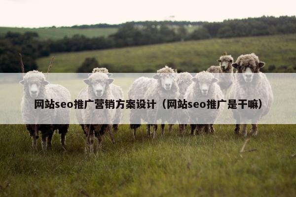 网站seo推广营销方案设计（网站seo推广是干嘛）