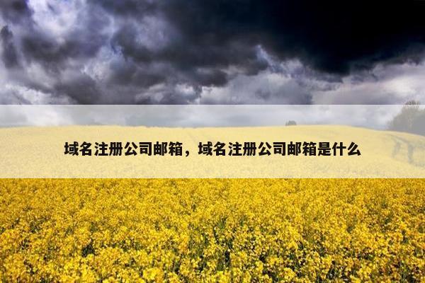 域名注册公司邮箱，域名注册公司邮箱是什么