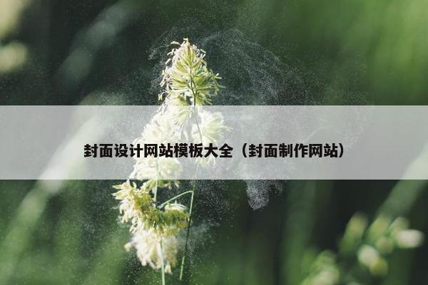 封面设计网站模板大全（封面制作网站）