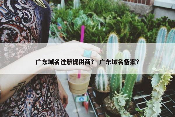 广东域名注册提供商？ 广东域名备案？