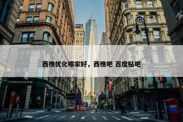 西樵优化哪家好，西樵吧 百度贴吧