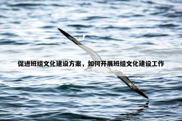 促进班组文化建设方案，如何开展班组文化建设工作