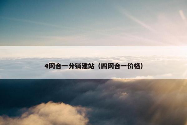 4网合一分销建站（四网合一价格）