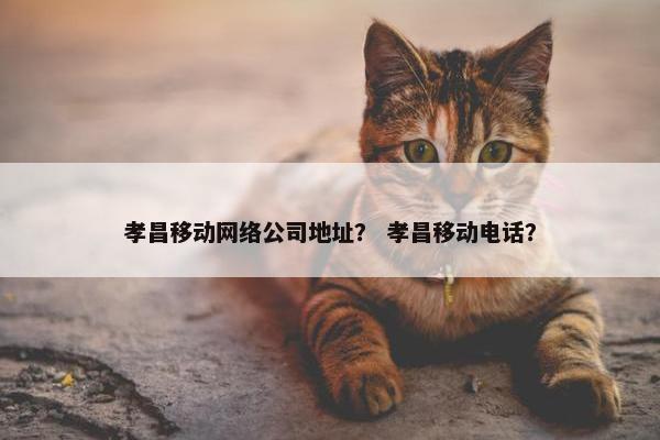 孝昌移动网络公司地址？ 孝昌移动电话？