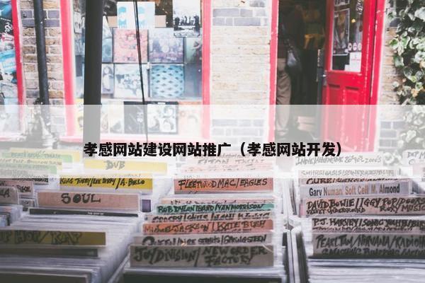 孝感网站建设网站推广（孝感网站开发）