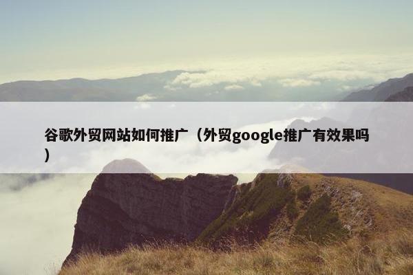 谷歌外贸网站如何推广（外贸google推广有效果吗）