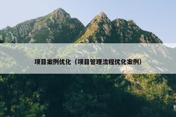 项目案例优化（项目管理流程优化案例）