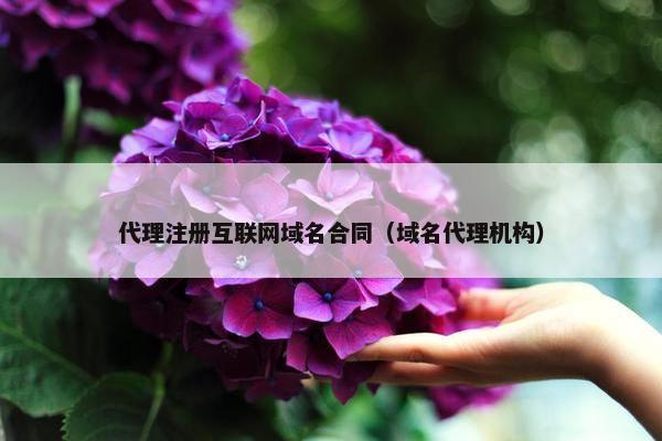 代理注册互联网域名合同（域名代理机构）