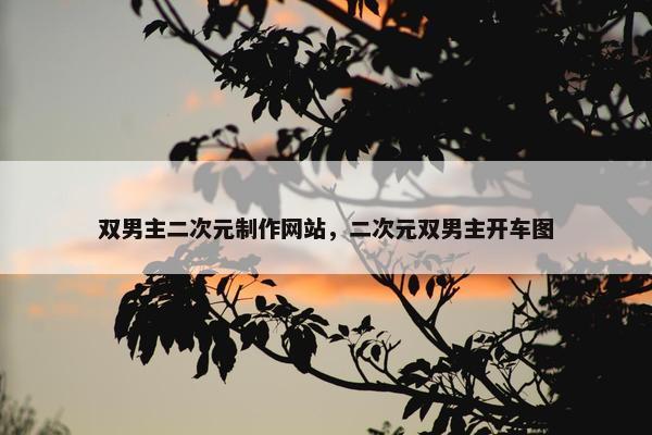 双男主二次元制作网站，二次元双男主开车图