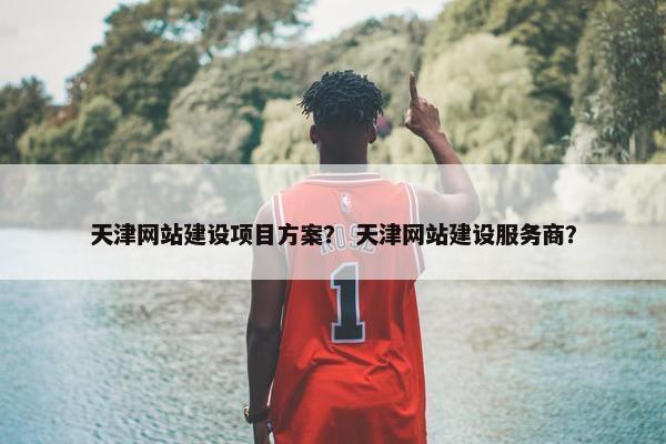 天津网站建设项目方案？ 天津网站建设服务商？