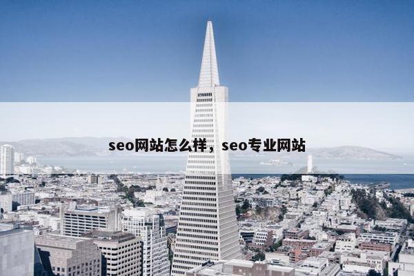 seo网站怎么样，seo专业网站