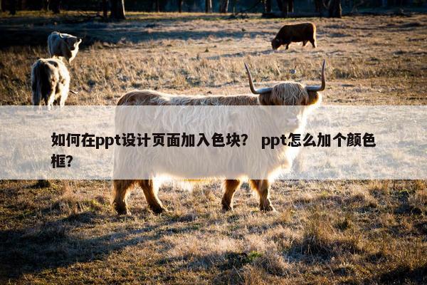 如何在ppt设计页面加入色块？ ppt怎么加个颜色框？