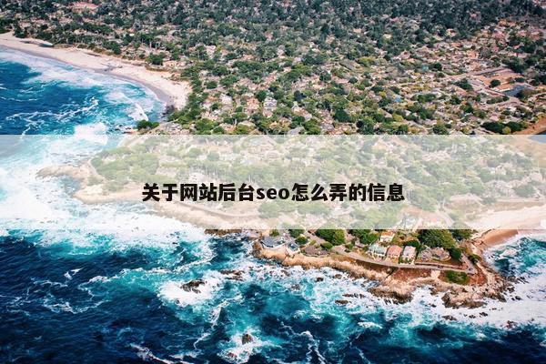 关于网站后台seo怎么弄的信息