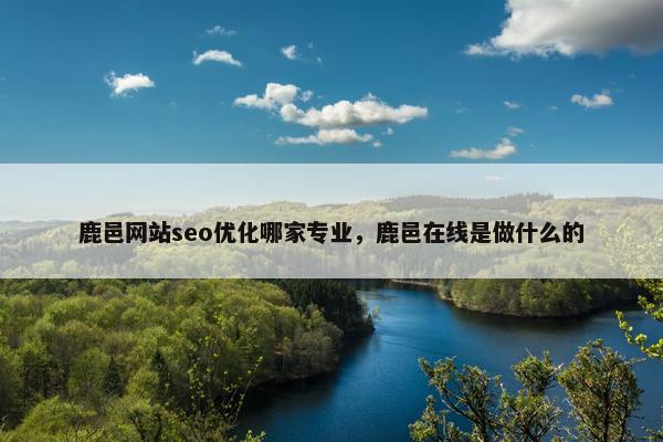 鹿邑网站seo优化哪家专业，鹿邑在线是做什么的