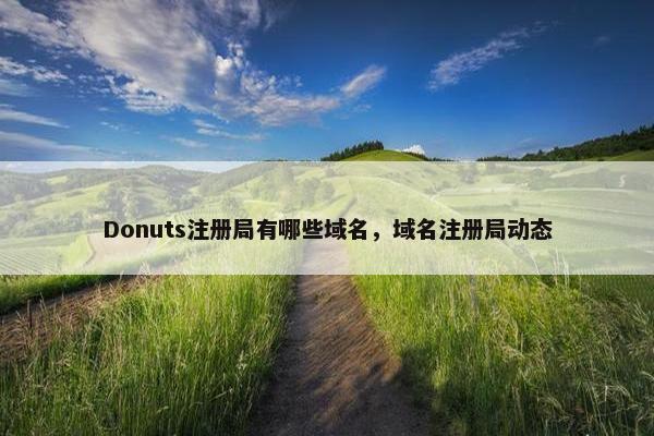 Donuts注册局有哪些域名，域名注册局动态