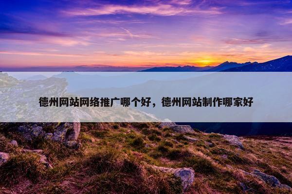 德州网站网络推广哪个好，德州网站制作哪家好