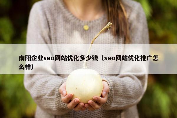 南阳企业seo网站优化多少钱（seo网站优化推广怎么样）