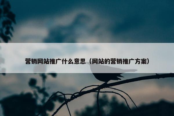 营销网站推广什么意思（网站的营销推广方案）