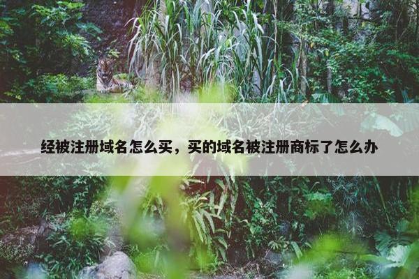 经被注册域名怎么买，买的域名被注册商标了怎么办