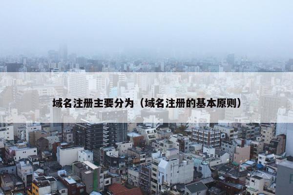 域名注册主要分为（域名注册的基本原则）