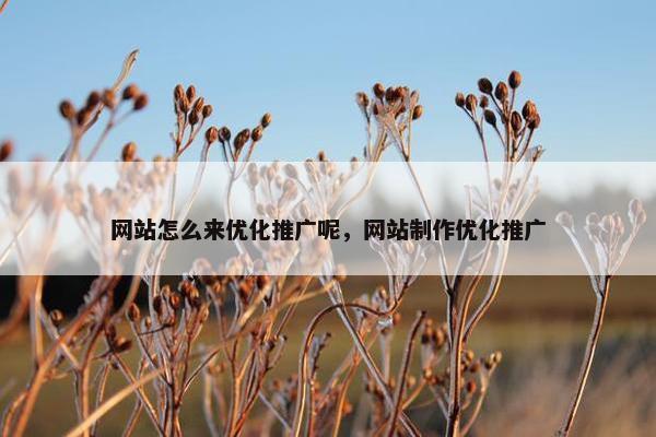 网站怎么来优化推广呢，网站制作优化推广