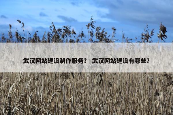 武汉网站建设制作服务？ 武汉网站建设有哪些？
